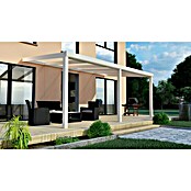 Terrassenüberdachung Special Edition (L x T: 500 x 300 cm, Polycarbonat, Verkehrsweiß, Klar)