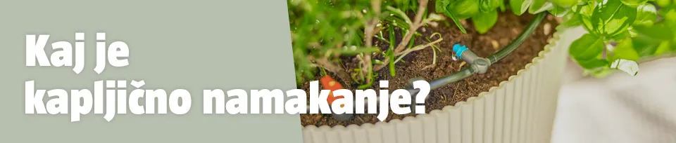 Kapljično zalivanje