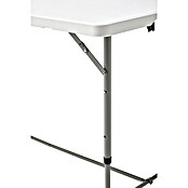 Mesa plegable (L x An: 120 x 60 cm, Blanco)