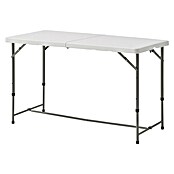 Mesa plegable (L x An: 120 x 60 cm, Blanco)