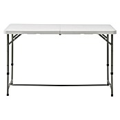 Mesa plegable (L x An: 120 x 60 cm, Blanco)