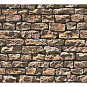 AS Creation Vliestapete Wood-n-Stone (Beige/Braun/Schwarz, Steinoptik, 10,05 x 0,53 m)