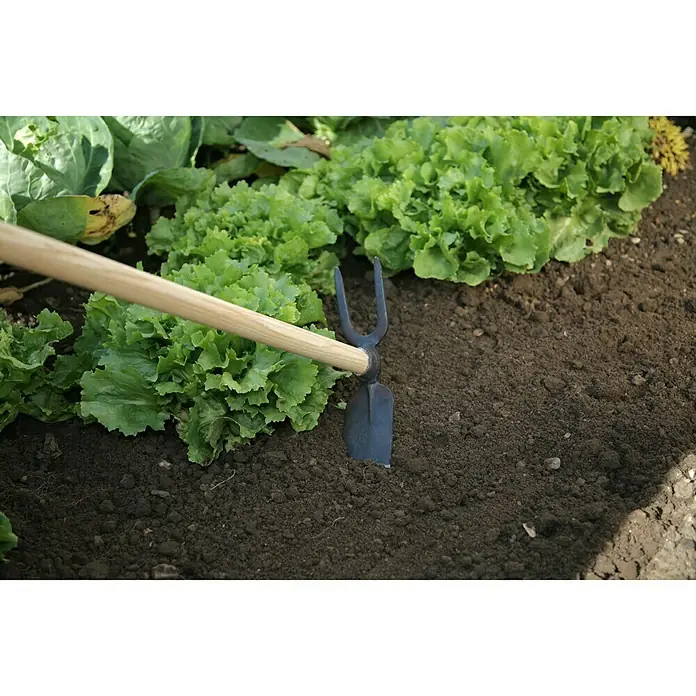 Gardol Gartenhacke - Breite: 70 mm, Anzahl Zinken: 2, Langstiel - Nahaufnahme einer Gartenhacke, die im Gartenbeet für die Bodenbearbeitung verwendet wird. Perfekt zum Auflockern und Jäten.