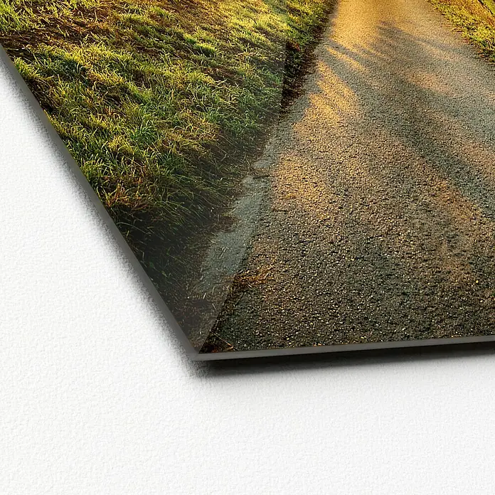 ProArt Glasbild - Way to Horizon, B x H: 30 x 30 cm - Nahaufnahme eines Acrylglasbildes mit einem Weg durch grüne Natur. Die glänzende Oberfläche betont die Details der Landschaft.