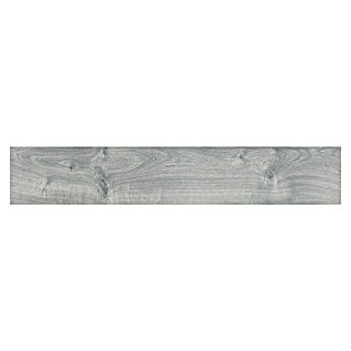 Halcón Porculanska pločica Illinois Gris Soft (23,3 x 120 cm, Svilenkasti sjaj)