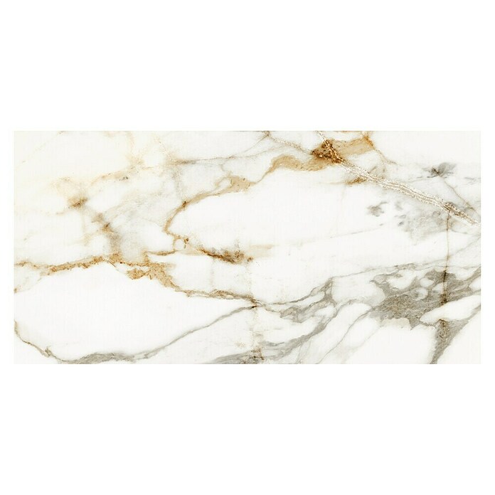 Halcón Podna pločica Barnaby Super White Mate  (30 x 60 cm, Mat) | BAUHAUS