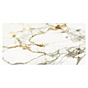 Halcón Podna pločica Barnaby Super White Mate  (30 x 60 cm, Mat) | BAUHAUS