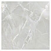 Halcón Porculanska pločica Fame Grey Satin  (60 x 60 cm, Siva, Svilenkasti mat) | BAUHAUS