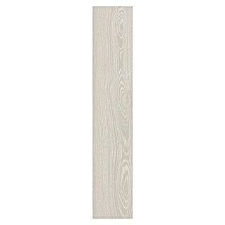Halcón Porculanska pločica Muse Gris Mate (22,5 x 119,6 cm, Mat)