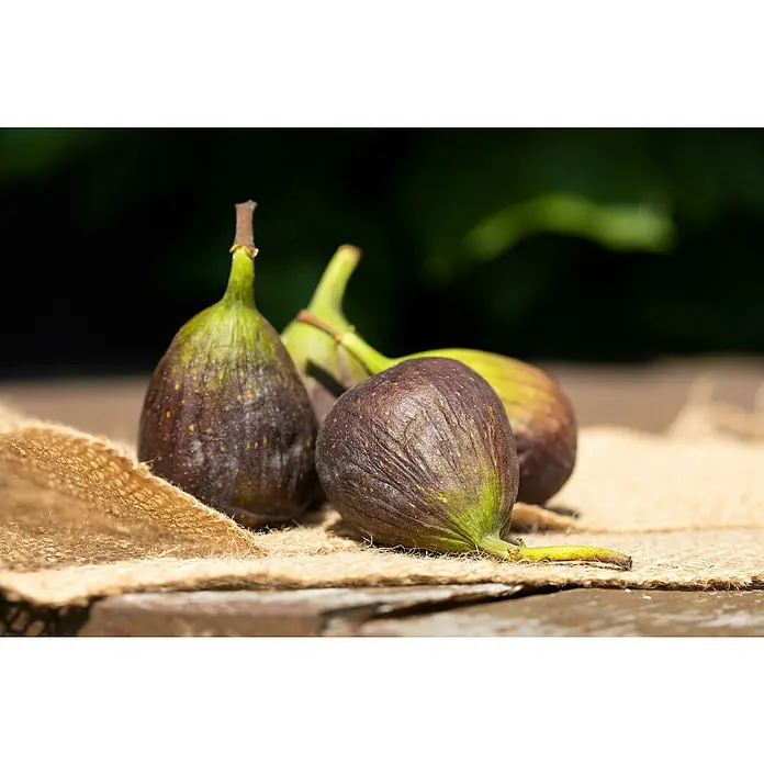 Piardino Feigenbaum Bonsaiform - Ficus carica, Topfgröße: 35 cm, Aktuelle Wuchshöhe: 140 cm - 160 cm - Nahaufnahme von reifen Feigen auf einem rustikalen Holztisch, die die natürliche Schönheit und Textur der Früchte hervorhebt.