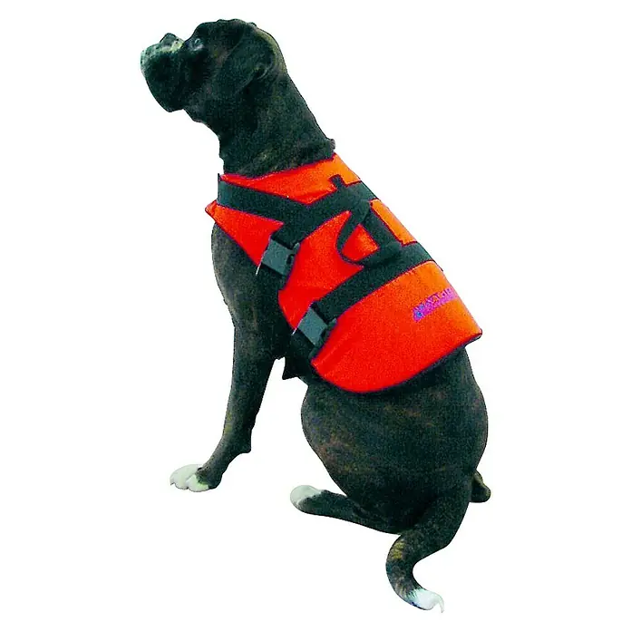 Navyline Schwimmweste für Hunde & Katzen crazy4boating - S, 0 kg - 8 kg, Rot - Ein brindle Boxer trägt eine rote Schwimmweste mit schwarzen Gurten. Die Schwimmweste bietet Auftrieb und Sicherheit im Wasser für Hunde.