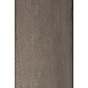 Elbersdrucke Ösenschal Odeon (B x H: 140 x 255 cm, 100 % Polyester, Braun) | BAUHAUS