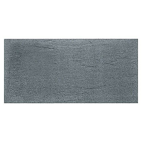 Terrassenplatte Wild Stone (60 x 40 x 4 cm, Titanio, Beton)