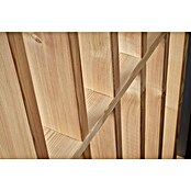 Gutta Seitenblende BS Timber-Line (90 x 220 cm, Passend für: Gutta Rechteckvordächer BS Timber-Line) | BAUHAUS
