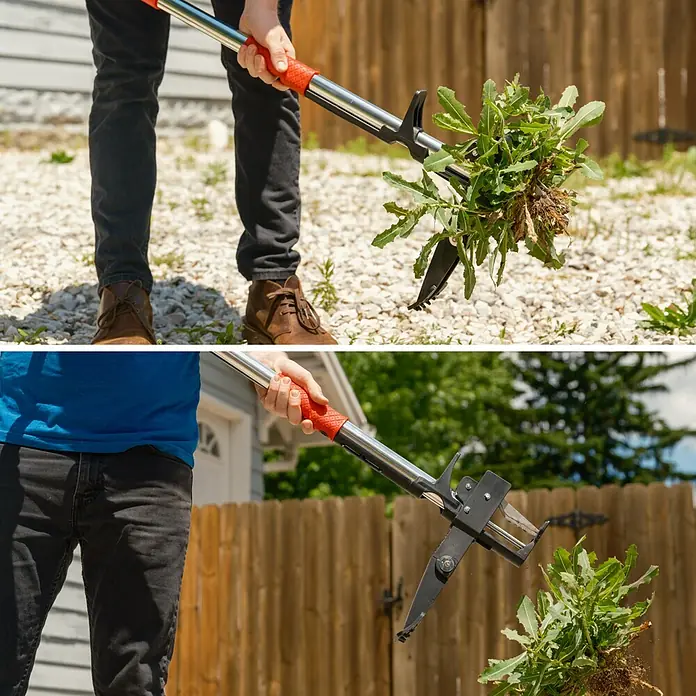 Root Slayer Unkrautstecher - Länge: 100 cm - Nahaufnahme eines Unkrautstechers beim Entfernen von Unkraut.