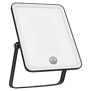 Ledvance LED-Strahler Floodlight Essential Sensor (30 W, L x B x H: 18,6 x 12,8 x 3,3 cm, Schwarz, Tageslichtweiß, Mit Sensor)