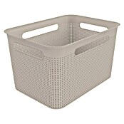 Rotho Aufbewahrungsbox Brisen (L x B x H: 36 x 26,2 x 21,1 cm, Polypropylen, Cappuccino)