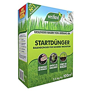 Westland Rasendünger (2,5 kg, Inhalt ausreichend für ca.: 100 m²)