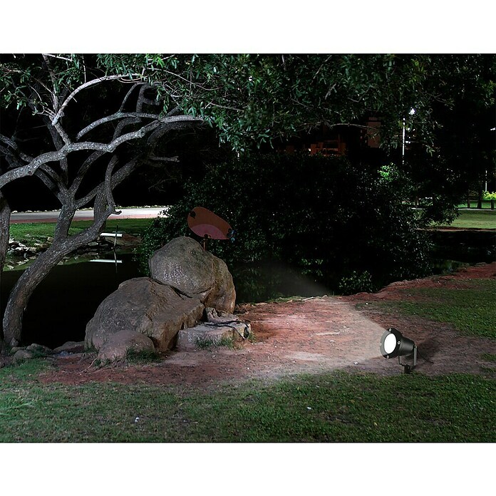 Starlux Splash Foco de jardín LED Splash (1 luz, 3 W, Negro, Estaca)