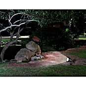 Starlux Splash Foco de jardín LED Splash (1 luz, 3 W, Negro, Estaca)