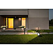 Starlux Splash Foco de jardín LED Splash (1 luz, 3 W, Negro, Estaca)