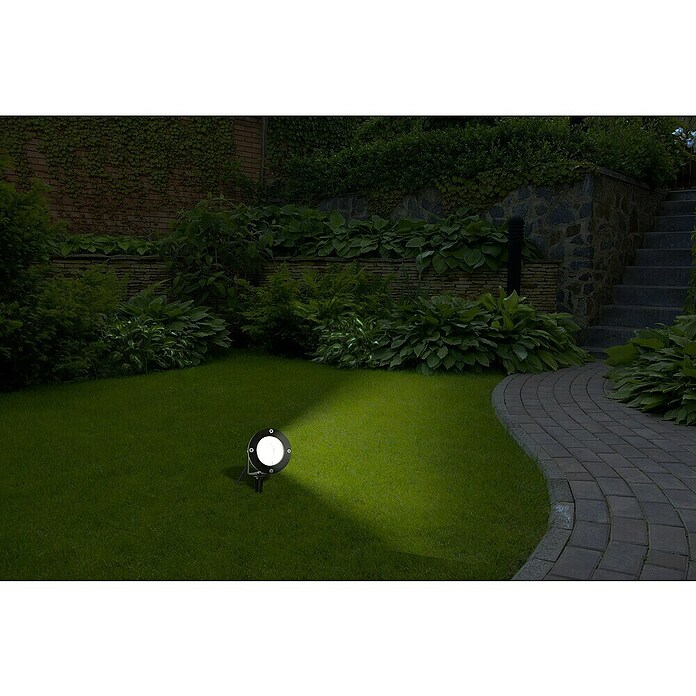Starlux Splash Foco de jardín LED Splash (1 luz, 3 W, Negro, Estaca)