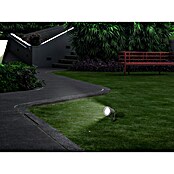 Starlux Splash Foco de jardín LED (1 luz, 3 W, Plateado, Estaca)