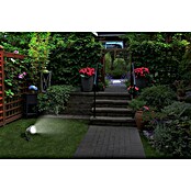 Starlux Splash Foco de jardín LED (1 luz, 3 W, Plateado, Estaca)