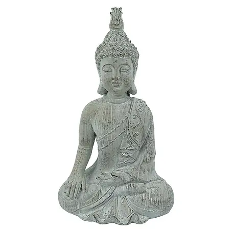Buddha Ravi