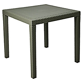 Tuintafel King (l x b x h: 80 x 80 x 72 cm, Polypropyleen, Groen)