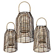 Lantaarn Set van 3 (Bruin) | BAUHAUS