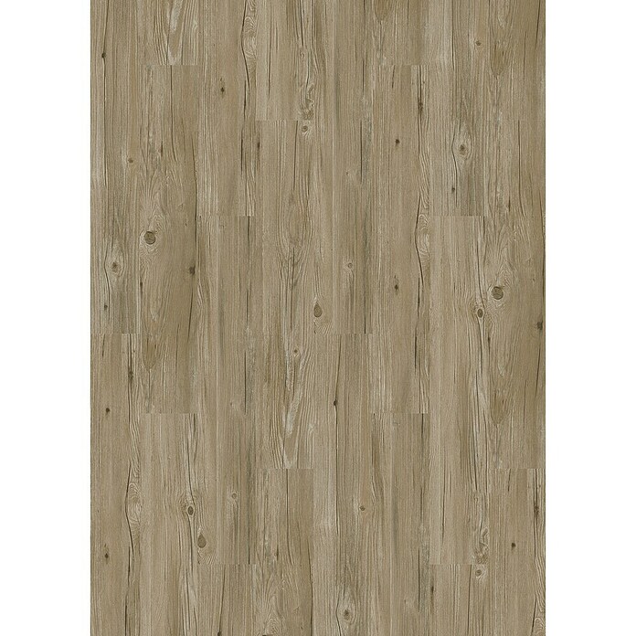 Suelo vinílico autoadhesivo Wild Grey (152,4 x 914,4 x 2 mm, Gris) | BAUHAUS