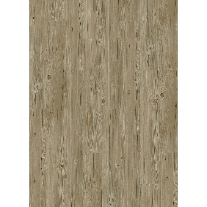 Suelo vinílico autoadhesivo Wild Grey - 152,4 x 914,4 x 2 mm, Gris - Primer plano de un suelo de madera con vetas y nudos para un aspecto natural y rústico. Perfecto para crear espacios habitables acogedores.