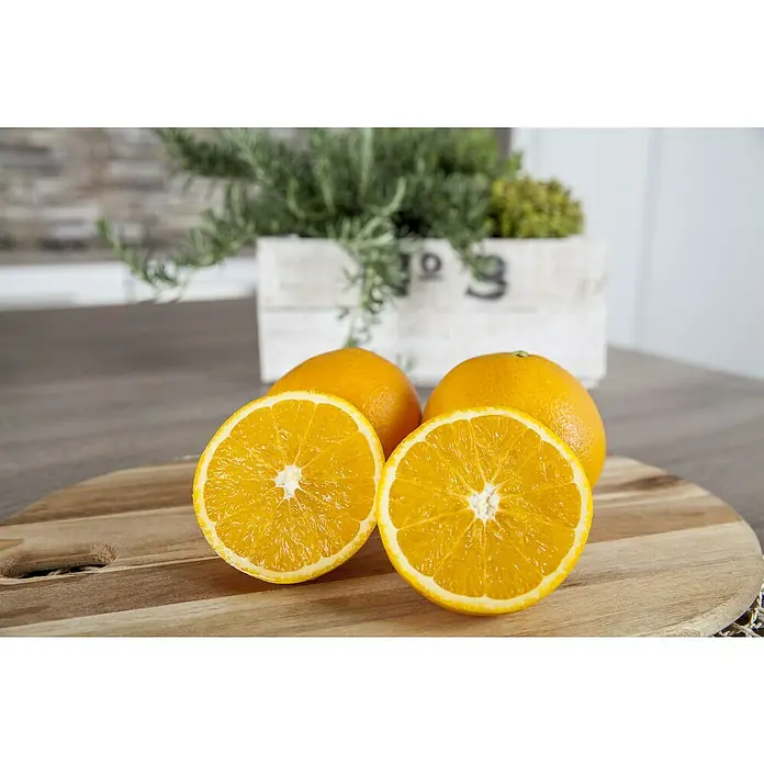 Orangenbaum - Citrus sinensis, 35 l - Saftige Orangen auf einem Holzbrett, die Frische und Natürlichkeit ausstrahlen, ideal für gesunde Ernährung und vitaminreiche Genüsse.