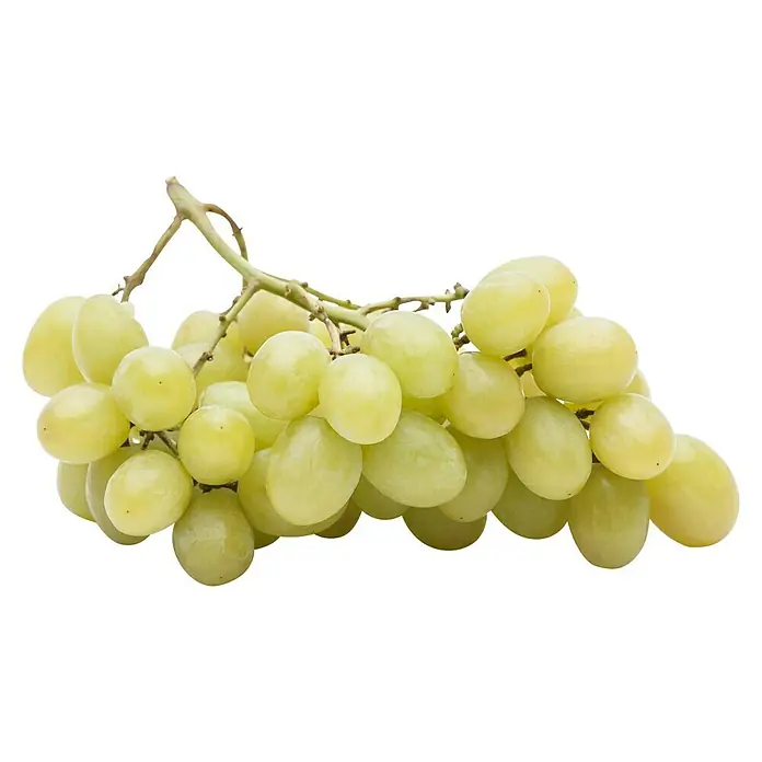 Weinrebe Bonsai - Vitis vinifera, Topfvolumen: 35 l, Aktuelle Wuchshöhe: 140 cm - 160 cm - Frische, grüne Trauben, prall und saftig, ideal als gesunder Snack oder Zutat für kulinarische Köstlichkeiten.