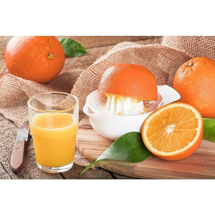 Orangenbaum (Citrus sinensis, 35 l) | BAUHAUS