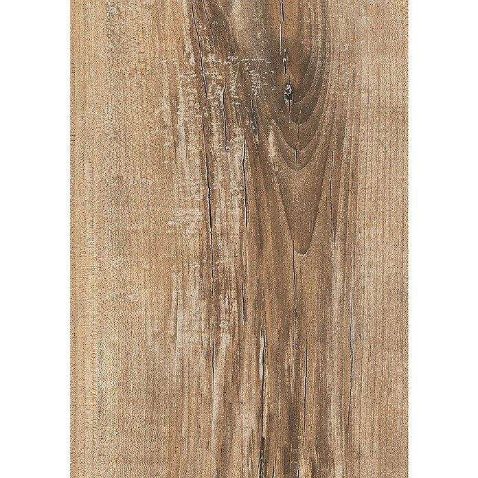 Kaindl Küchenrückwand (4 100 x 640 x 15 mm, Spanplatte, Eiche/Pinie) | BAUHAUS