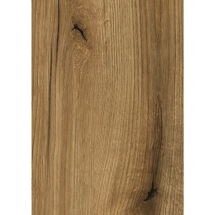 Kaindl Küchenrückwand (4 100 x 640 x 15 mm, Spanplatte, Eiche Evoke Knot/Endgrain) | BAUHAUS