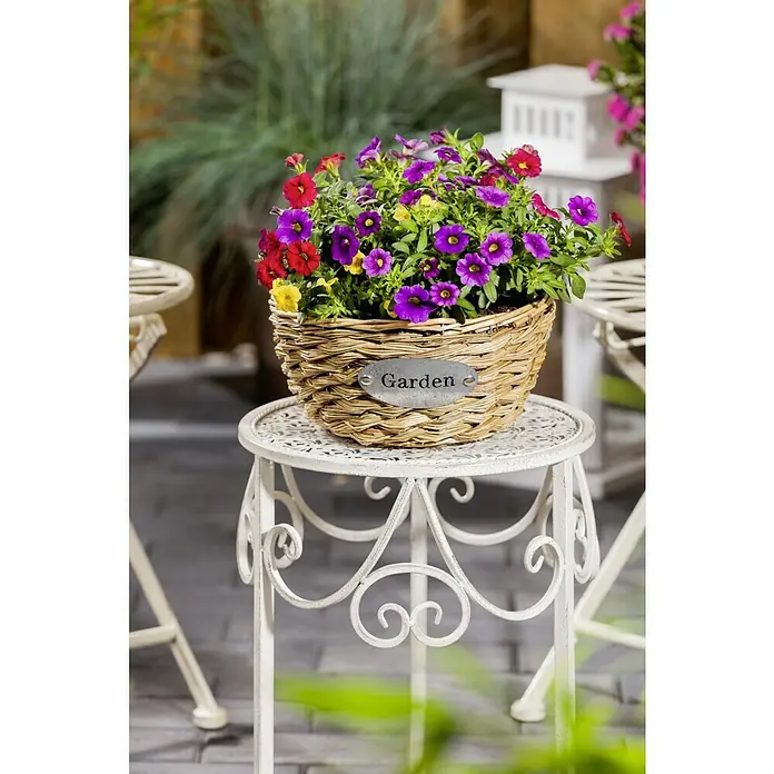 Piardino Zauberglöckchen - Calibrachoa Hybride Fünf Freunde, Topfgröße: 15 cm, Mehrfarbig - Korb mit bunten Petunien auf einem dekorativen weißen Tisch, der einen Hauch von Gartencharme verleiht.