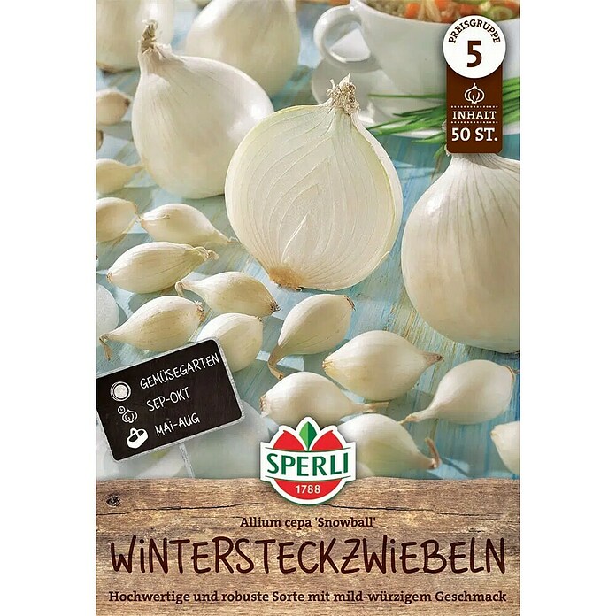 Sperli Steckzwiebeln Snowball (Allium cepa, Inhalt 50 Stück) | BAUHAUS