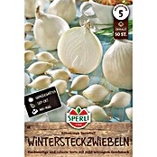 Sperli Steckzwiebeln Snowball (Allium cepa, Inhalt 50 Stück) | BAUHAUS