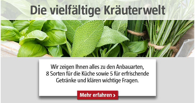 Verschiedene Kräuter mit dem Titel 