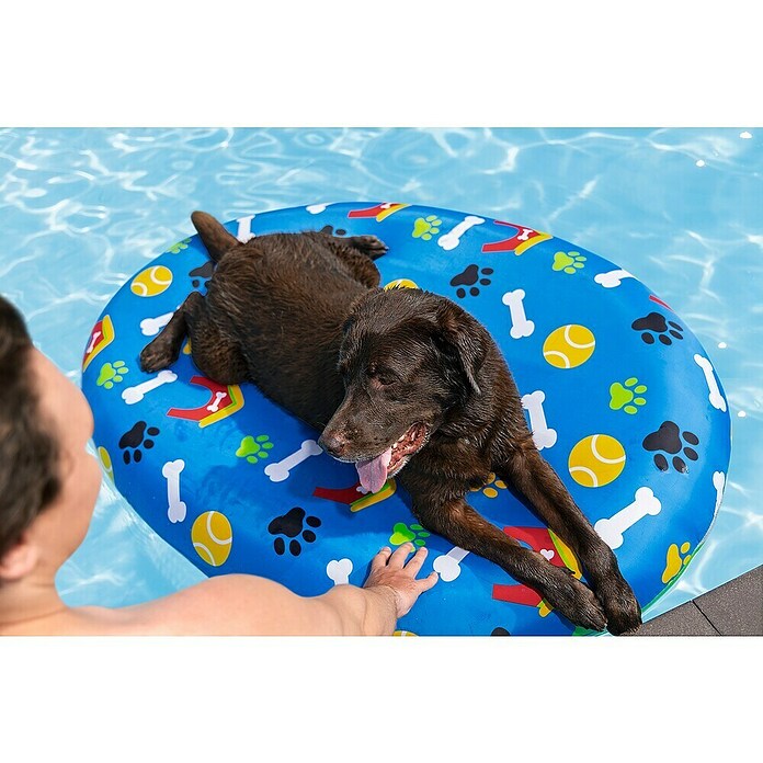 Bestway Plavalni otok za hišne ljubljenčke  (Dolžina: 142 cm, Širina: 95 cm) | 8308 - Aufblasartikel | ICIC - Pools / Whirlpools Zubehör | ICI - Pools & Zubehör | IC - Freizeit im Garten | I - Stadtgarten | BAUHAUS