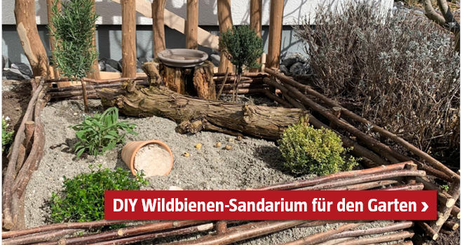 Selbstgemachtes Wildbienen-Sandarium im Garten mit Kräutern, Sand Holz und mehr Materialien