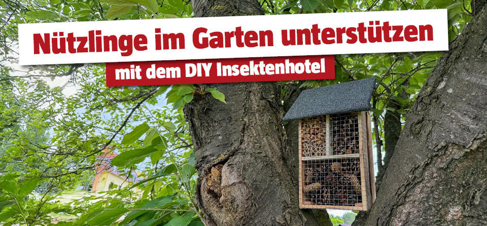 Selbstgemachtes Insektenhotel am Baum mit Titel Nützlinge im Garten unterstützen