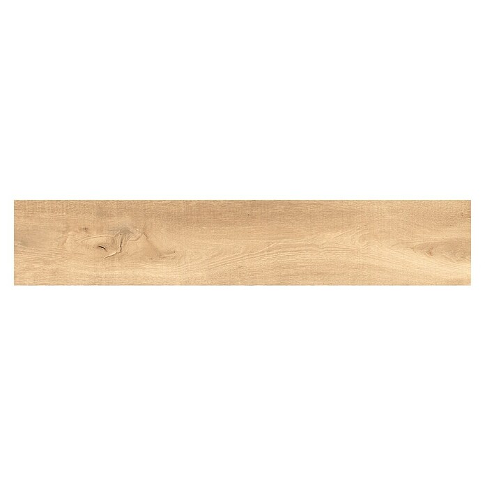 Halcón Porculanska pločica Aspen Natural  (23,3 x 120 cm, Mat) | BAUHAUS