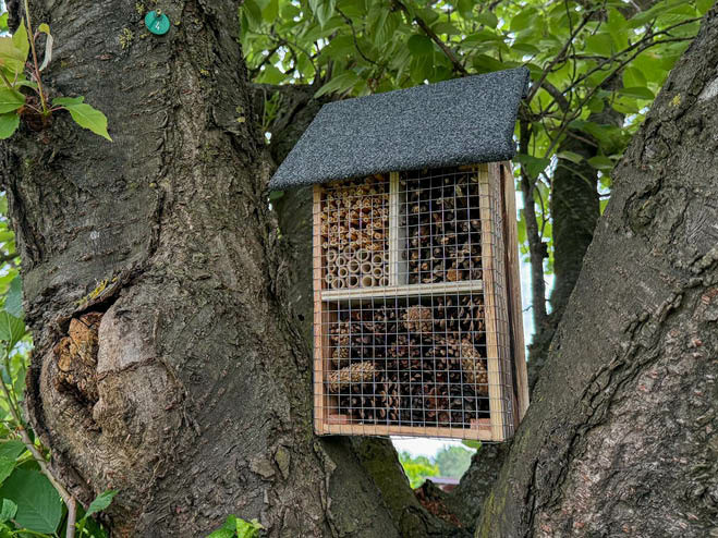Das selbstgemachte Insektenhotel wurde am Baum angebracht