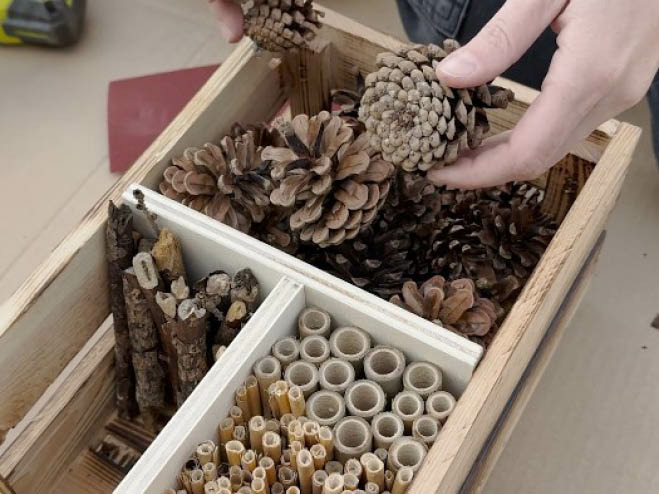 Tannenzapfen, kurze Äste, Schilfrohr und Bambusstäbe werden in das selbstgemachte Insektenhotel gefüllt