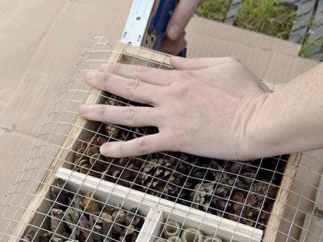 Ein Drahtgitter wird auf die Vorderseite vom Insektenhotel getackert