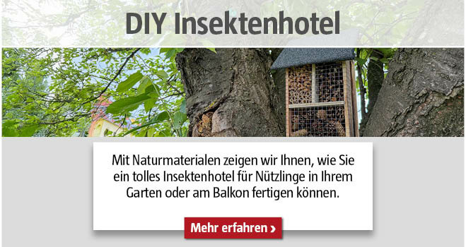 Selbstgemachtes Insektenhotel am Baum mit Titel DIY Insektenhotel